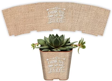 PRODUCT80 Succulent Wraps Wedding Favors for 2" Pots | Baby Shower Favors | Peel and Stick Stickers | Does NOT Include Succulents or Pots (100 Wraps, Burlap Thank You Wreath) by PRODUCT80