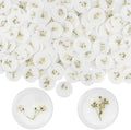 Qilery 200 Pcs Baby's Breath Wax Seal Stickers, Dry Floral Envelope Stamp by Qilery