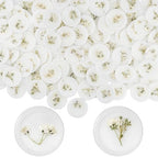 Qilery 200 Pcs Baby's Breath Wax Seal Stickers, Dry Floral Envelope Stamp by Qilery