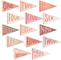 Lucy Darling Petit Milestone Pennants – Baby Monthly Milestone Pennant Flags – Newborn Photo Props & Felt Nursery Decor – Keepsake Banner Set for Baby Photos - Blushing Meadow by LucyDarling