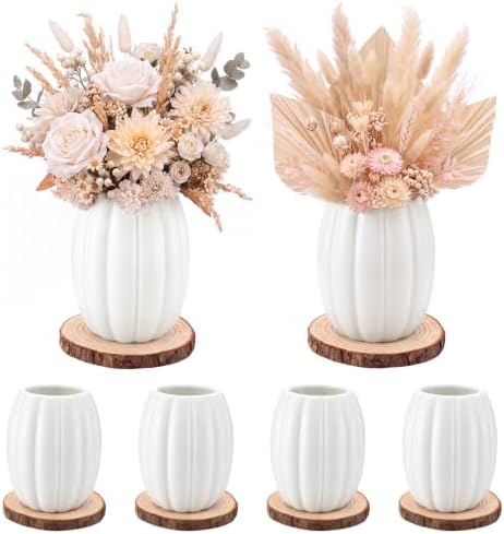 Rtteri 6 Set 5.12" Ceramic Pumpkin Vase with Wood Slices Glazed Fall Flower Pots for Autumn Home Decor Smooth Pottery Planter Pack for Thanksgiving Tabletop Decoration Housewarming Gifts(White) by Rtteri