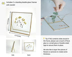 Beedecor Double Glass Frame for Pressed Flowers, Leaf and Artwork,Gold 6x6 Standing Square Metal Picture Frames, Set of 2 Pressed Flower Frames with Stand (Gold, 6x6) - Image 3