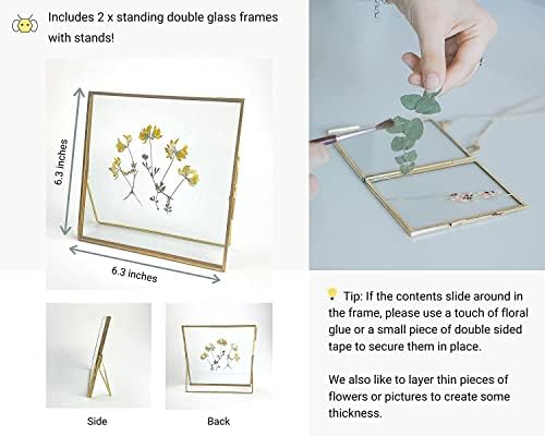 Beedecor Double Glass Frame for Pressed Flowers, Leaf and Artwork,Gold 6x6 Standing Square Metal Picture Frames, Set of 2 Pressed Flower Frames with Stand (Gold, 6x6) - Image 3