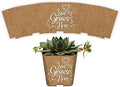 PRODUCT80 Succulent Pot Wrap Favors for 2" Pots | Craft Print with Love Grows Here | Baby Shower, Bridal, Engagement Party | Peel and Stick Stickers | Does NOT Include Succulents or Pots (100 Wraps) by PRODUCT80