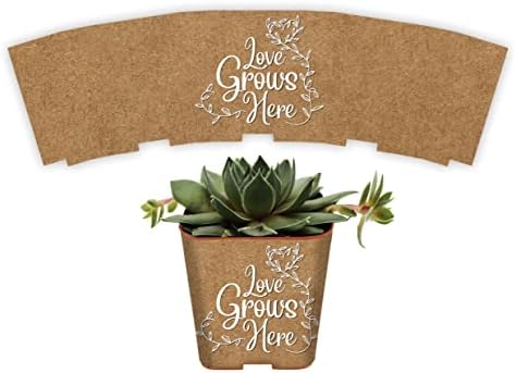 PRODUCT80 Succulent Pot Wrap Favors for 2" Pots | Craft Print with Love Grows Here | Baby Shower, Bridal, Engagement Party | Peel and Stick Stickers | Does NOT Include Succulents or Pots (100 Wraps) by PRODUCT80