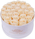 Prifroti 27 Flowers in a Luxury Suede Box, Birthday Gifts for Women, Preserved Flowers, Mothers Day Roses Gift for Mom, Champagne by Prifroti