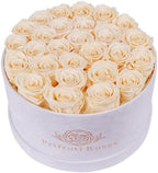 Prifroti 27 Flowers in a Luxury Suede Box, Birthday Gifts for Women, Preserved Flowers, Mothers Day Roses Gift for Mom, Champagne by Prifroti