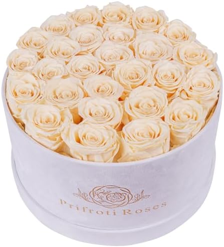 Prifroti 27 Flowers in a Luxury Suede Box, Birthday Gifts for Women, Preserved Flowers, Mothers Day Roses Gift for Mom, Champagne by Prifroti