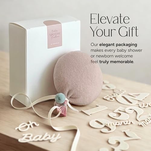 Balloon Baby Monthly Milestone Marker Signs, Photo Prop for Photoshoot | Stuffed Plush Balloon, Tassel, Pompom | Birth Announcement, Gender Neutral Baby Shower, Newborn Gift Set (Dusty Pink) - Image 5
