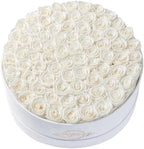 Prifroti 75 Preserved Roses in Suede Box – Luxury Rose Flower Arrangement, Preserved Flowers Gifts for Women, Wife or Mom – Birthday, Anniversary, Valentine’s Day, Mother's Day (White) by Prifroti