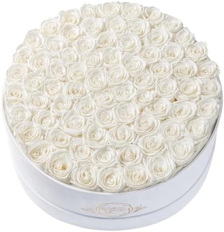 Prifroti 75 Preserved Roses in Suede Box – Luxury Rose Flower Arrangement, Preserved Flowers Gifts for Women, Wife or Mom – Birthday, Anniversary, Valentine’s Day, Mother's Day (White) by Prifroti