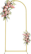Asee'm 6FT Gold Metal Arch Backdrop Stand Wedding Balloon Background by Aseem