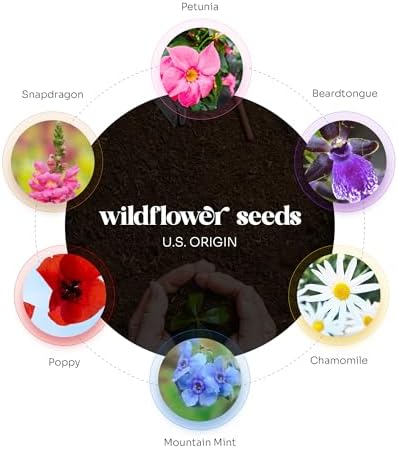 24 Favor Set, Yellow Bee Gift Wrap Tag w/Wildflower Seeds - Image 7