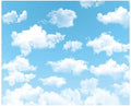 Allenjoy 10x8ft Blue Sky White Cloud Backdrop for Newborn Spring Portrait Photography Pictures Kids Children World Travel Aviator Birthday Party Decor Welcome Baby Shower Photo Shoot Background by Allenjoy