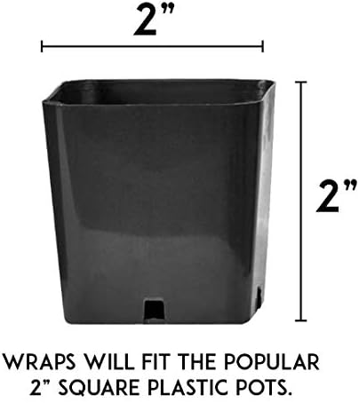 PRODUCT80 Let the Adventure Begin Succulent Wraps Wedding Favors for 2" Pots | Baby Shower | Peel and Stick Stickers | Does NOT Include Succulents or Pots (50 Wraps) - Image 3