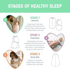 SwaddleMe by Ingenuity Original Swaddle, 100% Cotton, Improves Sleep & Calms Startle Reflex, 0-3 Months, 3-Pack - Busy Bees - Image 5