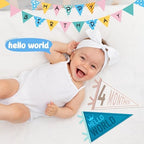 VitalCozy 14 Pcs Baby Milestone Pennant Signs Monthly Newborn Birthday - Image 4