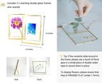 Beedecor Double Glass Frame for Pressed Flowers, Polaroid photos and Artwork,Gold 4x6 Standing Metal Picture Frames, Home Decor Photo Display, Set of 2 Pressed Flower Frames with Stand - Image 3