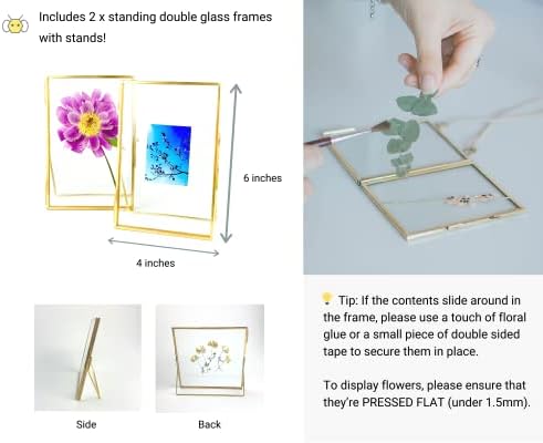 Beedecor Double Glass Frame for Pressed Flowers, Polaroid photos and Artwork,Gold 4x6 Standing Metal Picture Frames, Home Decor Photo Display, Set of 2 Pressed Flower Frames with Stand - Image 3