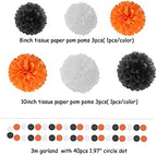 Black White Orange Halloween Party-Decorations Tissue Pom Poms Streamers,Tassel Garland Banner,Graduation 2025 Birthday Wedding Baby Bridal Shower Decor Bunting - Image 4