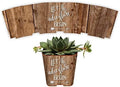 PRODUCT80 Let the Adventure Begin Succulent Wraps Wedding Favors for 2" Pots | Baby Shower | Peel and Stick Stickers | Does NOT Include Succulents or Pots (50 Wraps) by PRODUCT80