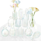 Bud Vases Set of 12, Iridescent Glass Vase for Decor Centerpieces by PHUNTTEK