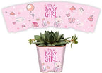 PRODUCT80 Succulent Pot Wraps for Wedding Favors, Baby Shower or Bridal | Fits Most 2 Inch Square Pots Peel and Stick Vinyl Wraps Does Not Include Mini Live Plant (50 Wraps, It's A Girl) by PRODUCT80