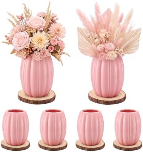 Rtteri 6 Set 5.12" Ceramic Pumpkin Vase with Wood Slices Glazed Fall Flower Pots for Autumn Home Decor Smooth Pottery Planter Pack for Thanksgiving Tabletop Decoration Housewarming Gifts (Pink) by Rtteri