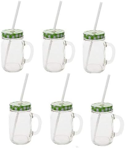 Sunshine Mason Co. Glass Mason Jar Drinking Mug set with handle, Green Gingham lids and White Straws, Set of 6 by Sunshine+Mason+Co.