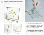 Beedecor Double Glass Frame for Pressed Flowers, Leaf and Artwork - Gold 4x4 Standing Square Metal Picture Frames, Tabletop Clear Floating Pressed Glass Frame, Home Decor Photo Display, Set of 2 - Image 3