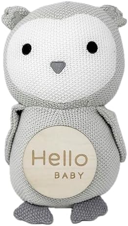 Monthly Baby Milestone Knit Cotton Stuffie with Wooden Discs, Newborn Photography Prop, Announcement Sign by Sawyer & Eloise (Owl) - Image 2