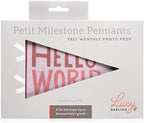 Lucy Darling Petit Milestone Pennants – Baby Monthly Milestone Pennant Flags – Newborn Photo Props & Felt Nursery Decor – Keepsake Banner Set for Baby Photos - Blushing Meadow - Image 2
