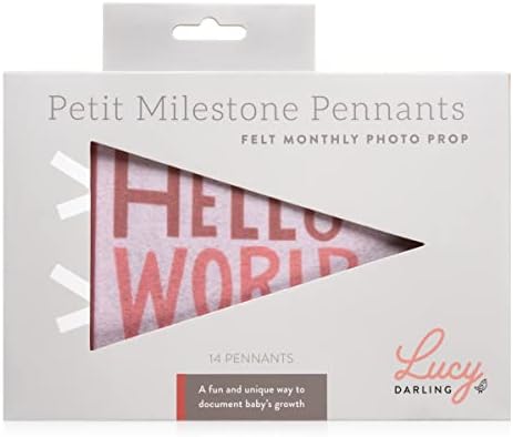 Lucy Darling Petit Milestone Pennants – Baby Monthly Milestone Pennant Flags – Newborn Photo Props & Felt Nursery Decor – Keepsake Banner Set for Baby Photos - Blushing Meadow - Image 2