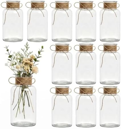 Clear Glass Vase Set, Hemp Rope Bowknot Decoration, Rustic Rustic Style Table Top for Wedding Flower Arrangement, Set of 12 by Zipper