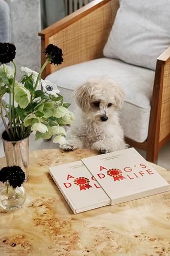 Printworks A Dog's Life Dog Journal, Beige - 64-Page Photo Album - Image 6