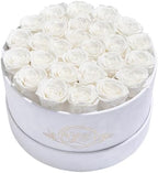 Prifroti 27 Flowers in a Luxury Suede Box, Birthday Gifts for Women, Preserved Flowers, Mothers Day Roses Gift for Mom, White by Prifroti