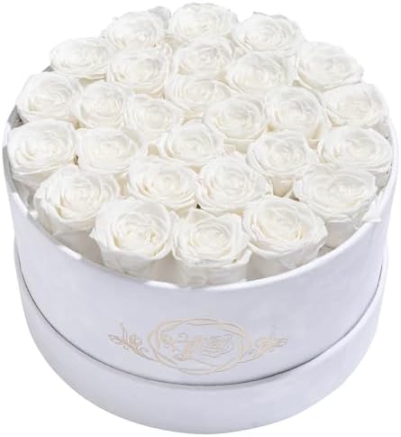 Prifroti 27 Flowers in a Luxury Suede Box, Birthday Gifts for Women, Preserved Flowers, Mothers Day Roses Gift for Mom, White by Prifroti