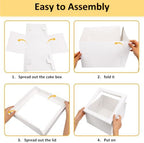 Moretoes 30pcs 12x12x8in Tall Cake Boxes, Bakery Carrier with Large Window - Image 4