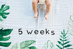 Little Unicorn Keepsake Monthly Milestone Photo Blanket – 47” x 46” – Milestone Cards Included - 100% Cotton Muslin – Machine Washable – Playful Designs - for Boys & Girls (Tropical Leaf) - Image 3