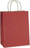 BagDream Medium Gift Bags with Handles 8x4.25x10.5 Inch Red 100 Pack Bulk by BagDream