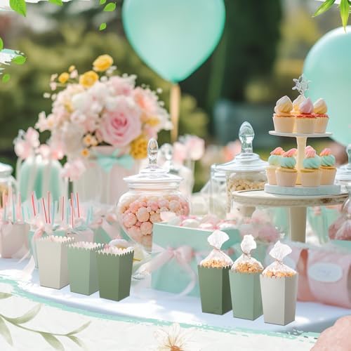 Baderke 201 Pcs Clear Wedding Popcorn Bags Treat Set, Gradient Sage Green - Image 4