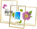 Beedecor Double Glass Frame for Pressed Flowers, Leaf and Artwork Set of 3 Pressed Flower Frames with Stand - 6x6, 5x7 and 6x8 Gold Standing Square Metal Picture Frames, Tabletop Clear Floating Pressed Glass Frame, Home Decor Photo Display (Gold, Set o... by Beedecor