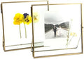 Beedecor Double Glass Frame for Pressed Flowers, Leaf and Artwork,Bronze 6x6 Standing Square Metal Picture Frames, Set of 2 Pressed Flower Frames with Stand (Antique bronze, 6x6) by Beedecor