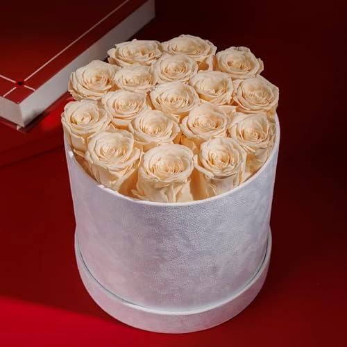 Prifroti 17 Flowers in a Luxury Suede Box, Birthday Gifts for Women, Preserved Flowers, Mothers Day Roses Gift for Mom, Champagne - Image 6