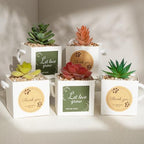 Temlum 2.5 Inch Succulent Wrap Bags (Fits 2.5″ Pots) with Thank You & Let Love Grow Stickers, Small Gift Box for Wedding, Baby Shower, Succulent Party Favors for Guests (White 100pcs) - Image 3