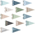 VitalCozy 14 Pcs Baby Milestone Pennant Signs Monthly Newborn Birthday by VitalCozy