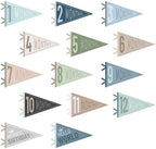 VitalCozy 14 Pcs Baby Milestone Pennant Signs Monthly Newborn Birthday by VitalCozy