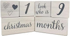 Pondering Pine Baby Milestone Blocks - Natural White Stain Pine Wood with Weeks Months Years Grade and Holidays, Newborn Weekly Monthly First Year Picture Props, 6 Block Milestones Age Set with Bag - Image 6