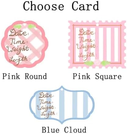 Personalized Baby Girl Nursery Door Hanger, Custom Adorable Pink/Blue Door Sign, Baby Birth Announcement Plaque, Hospital Doors and Nursery Decor, Gift for Newborn Parent - Image 6