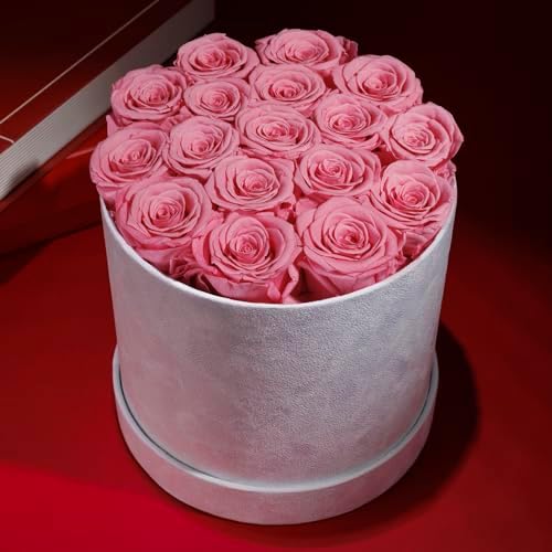 Prifroti 17 Flowers in a Luxury Suede Box, Birthday Gifts for Women, Preserved Flowers, Mothers Day Roses Gift for Mom, Light Pink - Image 6